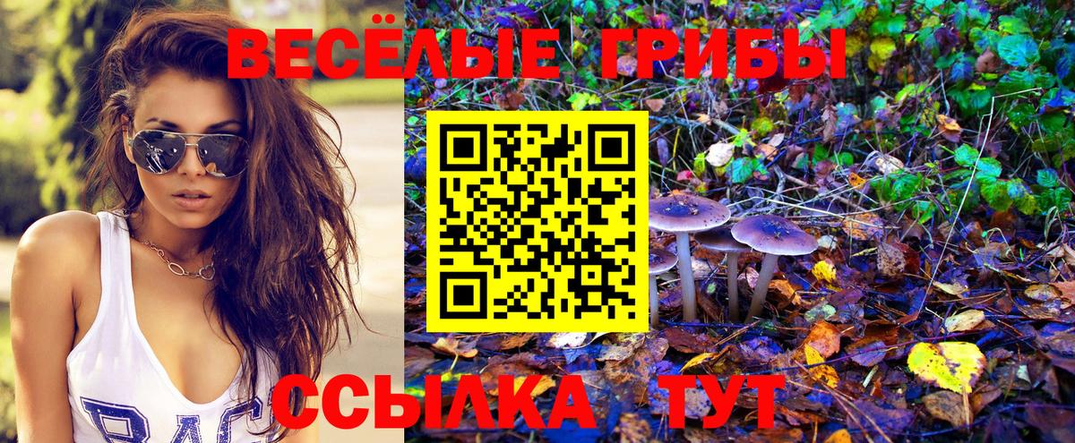 Галлюциногенные грибы MAGIC MUSHROOMS  Вход с VPN  Шатура 